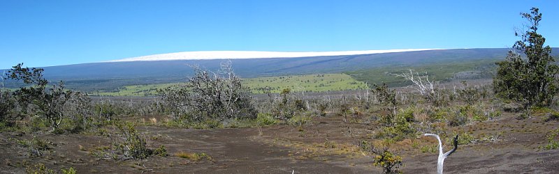 Mauna Loa Swanson Feb 2002.jpg (53243 bytes)